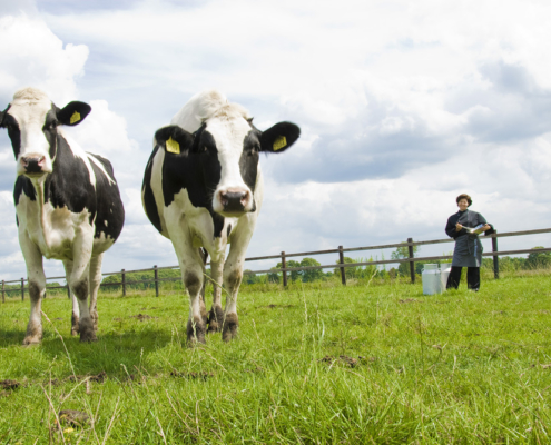 GIJS Streekproducten Resy Roessel slagroom mousse